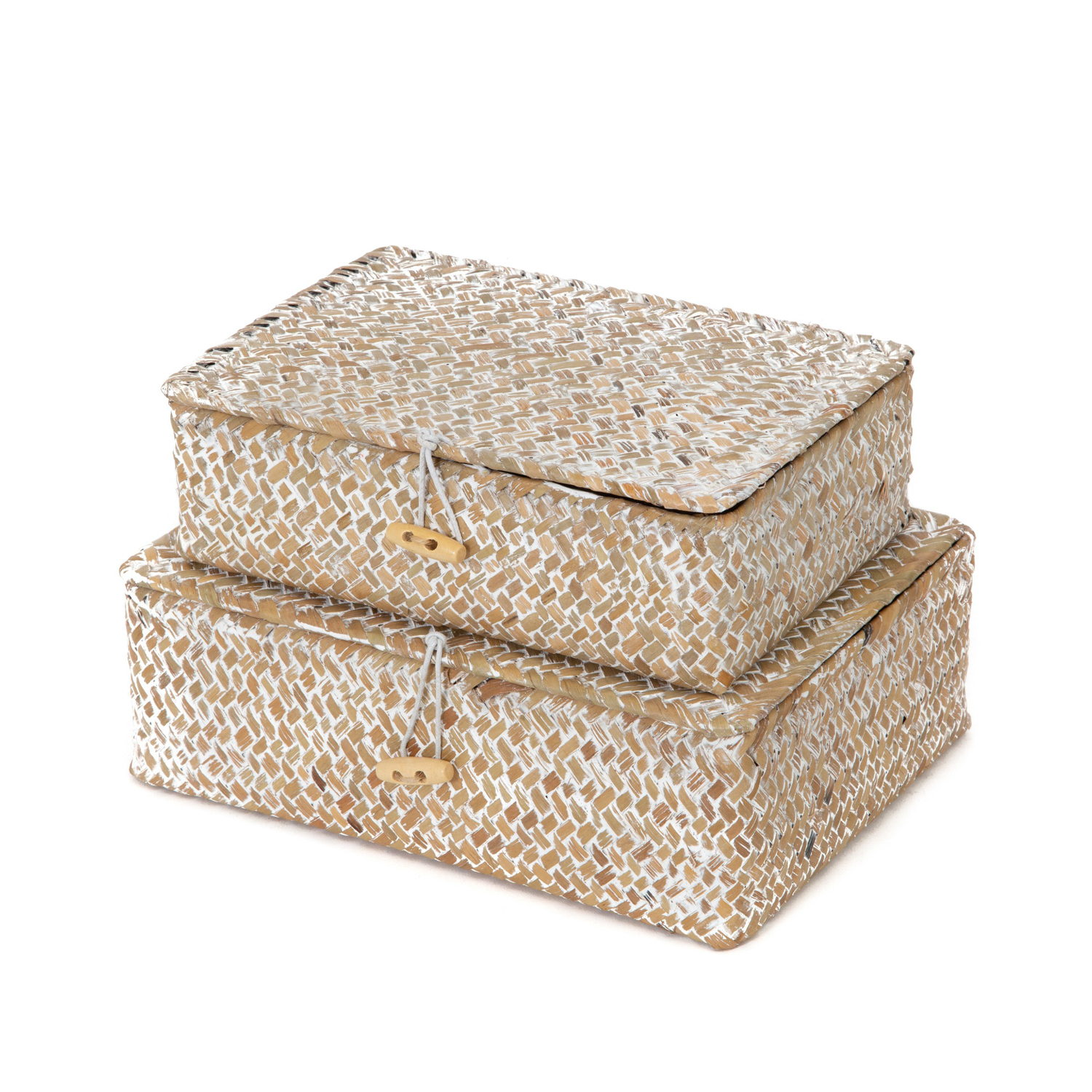 Set 2 cesti Macao beige Compactor