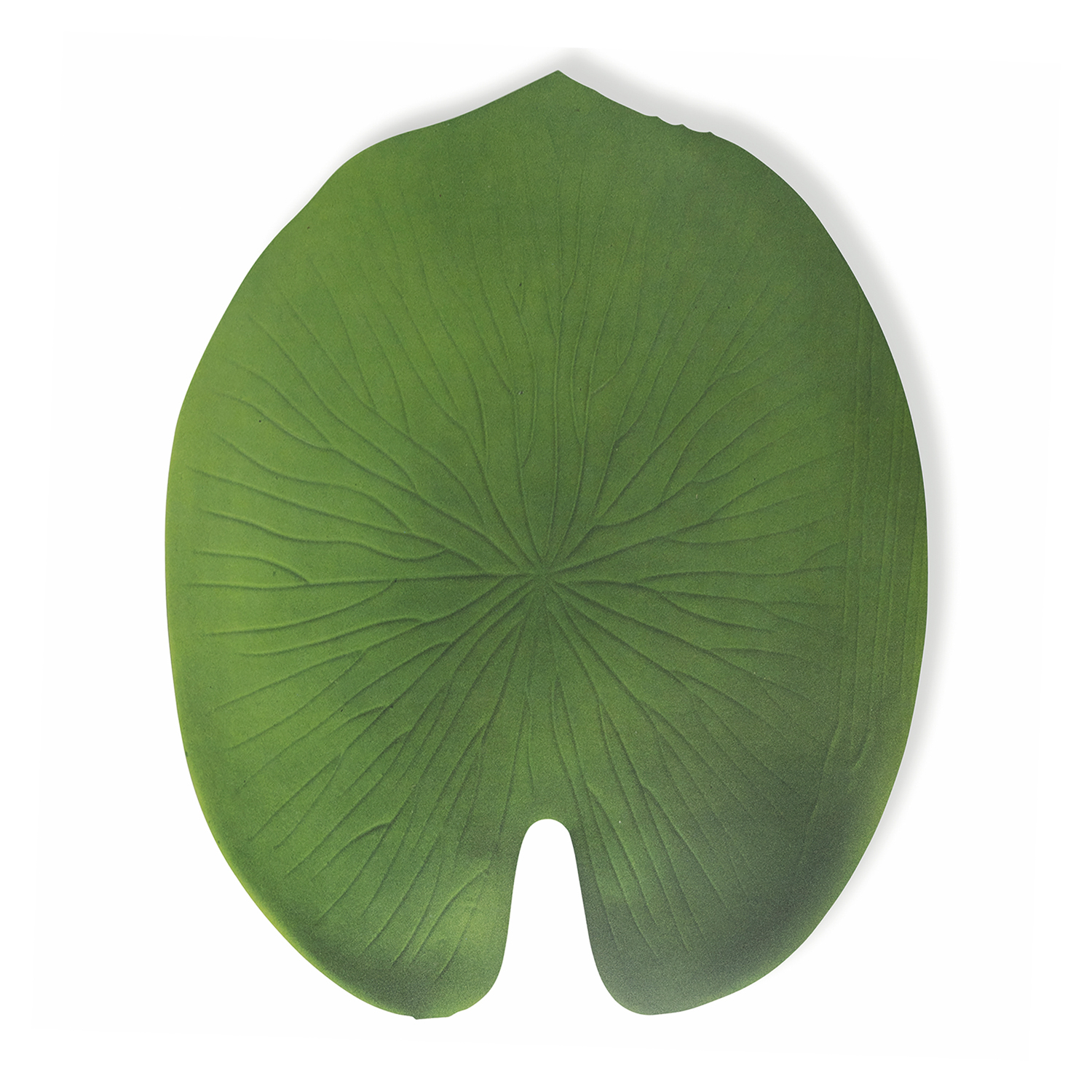 Tovaglietta foglia tonda jungle 37x47 cm