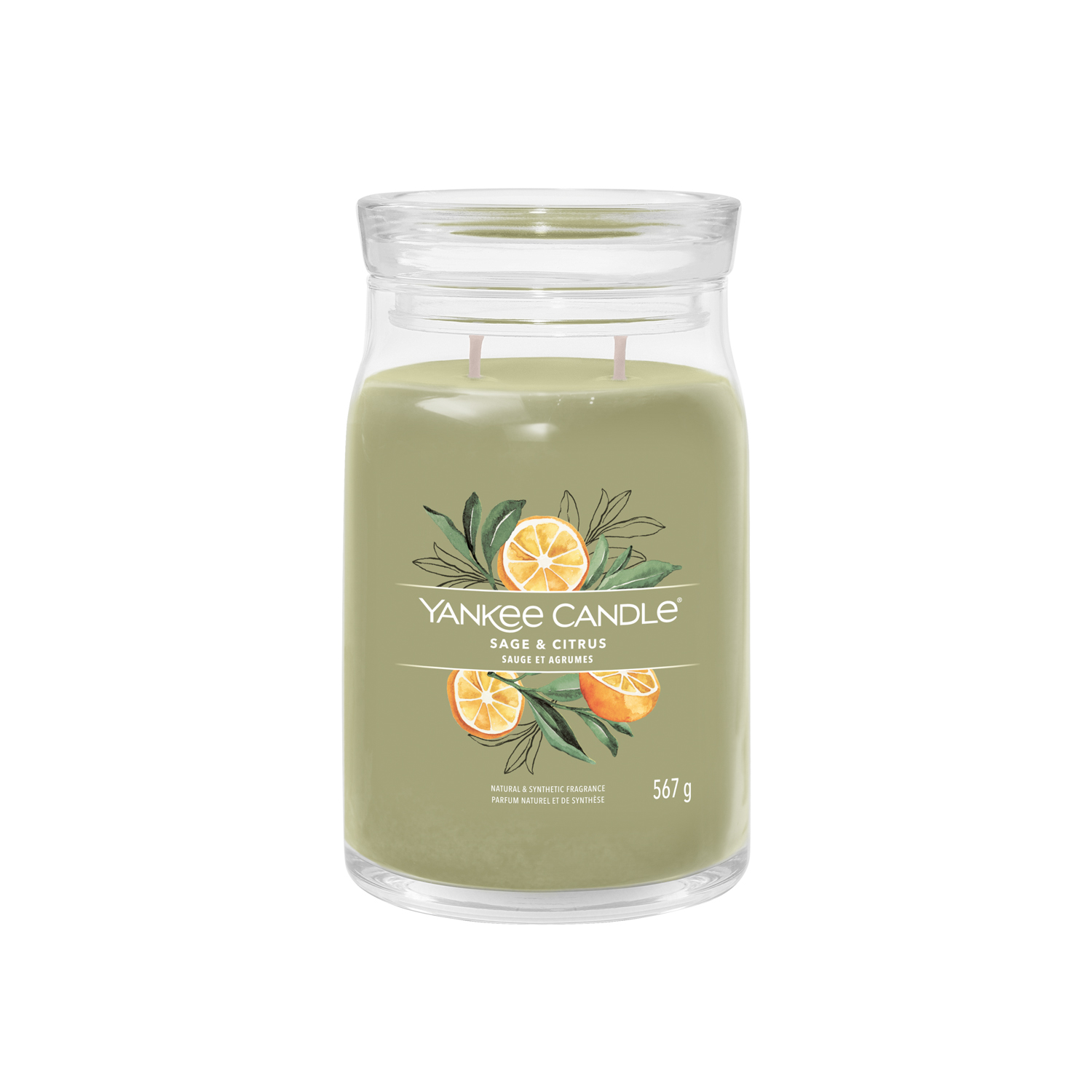Sage e Citrus, candela giara grande Yankee Candle
