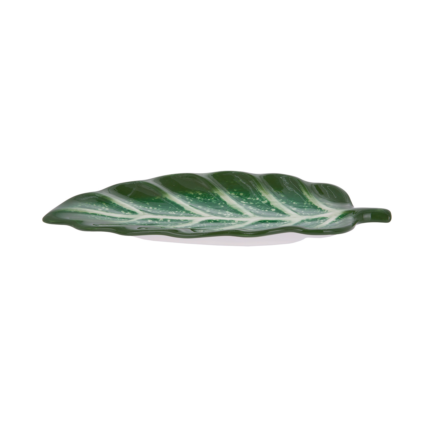 Antipastiera foglia ficus terracotta Florafruit