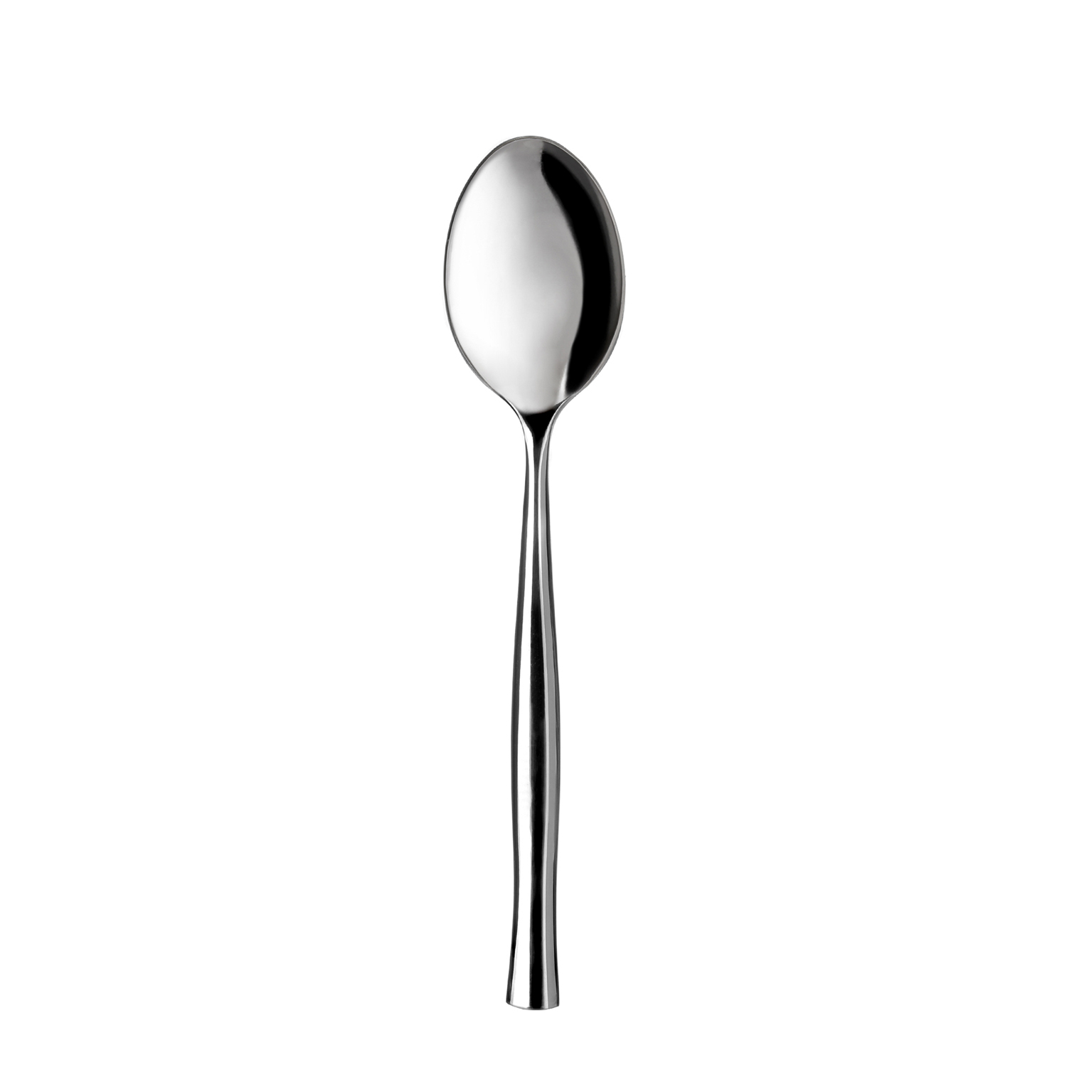 Cucchiaio Shiny in acciaio inox