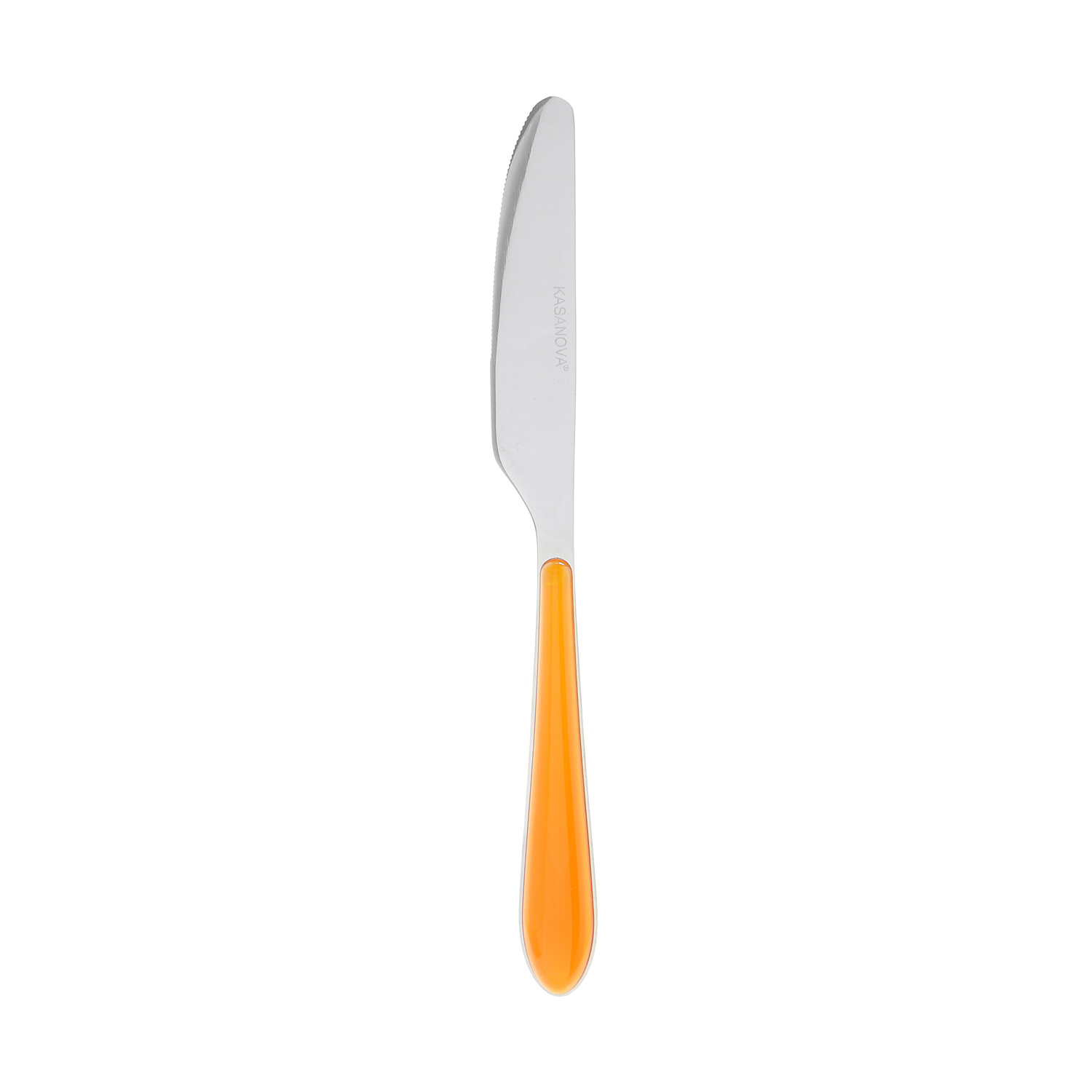 Coltello In acciaio